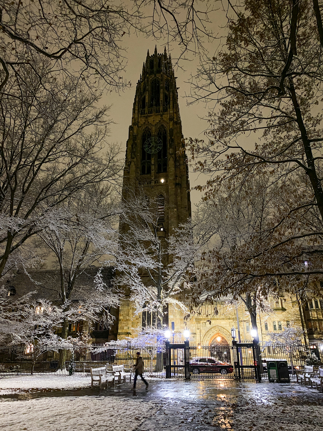 Yale Winter